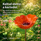 🌺 Művészet a Kertben: Kézzel Készített Fém Virágtámasz – Esztétika és Funkció!