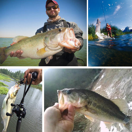 🎣 Élethű, többszörösen összeillesztett süllyedő horgászcsali