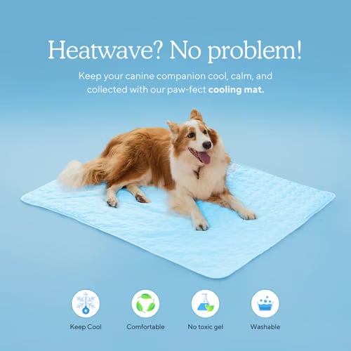 🐶❄️ Hűtőszőnyeg kutyáknak – 4-szer hatékonyabb hűtés a forró nyári napokra
