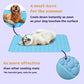 🐶❄️ Hűtőszőnyeg kutyáknak – 4-szer hatékonyabb hűtés a forró nyári napokra