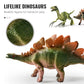 🦖 Élethű dinoszaurusz-makettkészlet – 46/52/64 darabos
