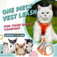 🐱🐶 Kifejezetten kis- és közepes méretű háziállatok számára tervezett mellényes póráz