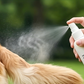 🐶🐱 Gubancmentesítő és fényt adó balzsam spray kisállatoknak ✨