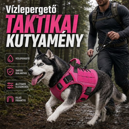 🐕✨Állítható kutyasétáltató hám – megerősített kivitel, szakadásálló