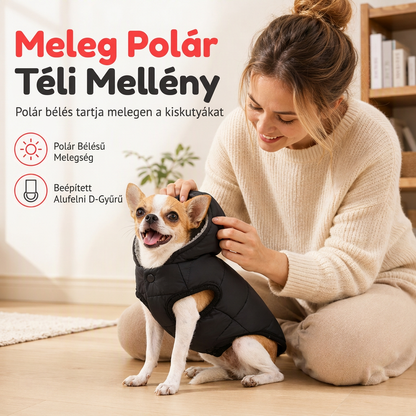 🐶 Meleg sapkás kutyakabát télre – gyapjú béléssel, rövid szőrű háziállatoknak